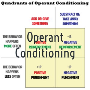 Operant Conditioning