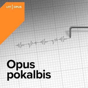 Opus pokalbis
