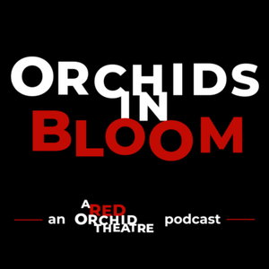 Orchids in Bloom