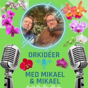 Orkidéer med Mikael & Mikael.