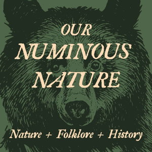 Our Numinous Nature