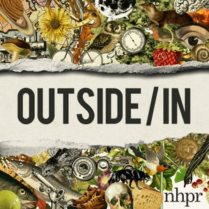 Outside/In