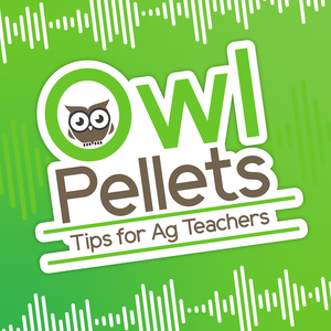 Owl Pellets: Tips for Ag Teachers