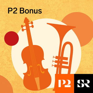 P2 Bonus