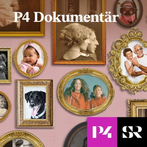 P4 Dokumentär