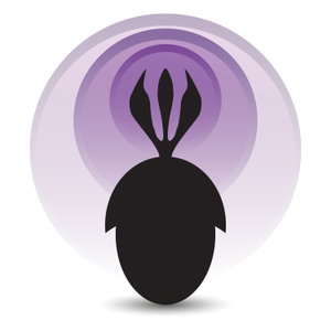 Palaeocast