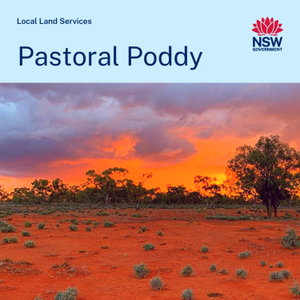 Pastoral Poddy - Australian Farming