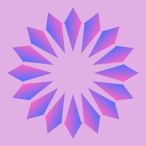 Paths of Practice: Conversations on Journeys into Buddhism