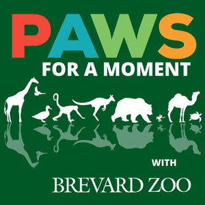 Paws for a Moment