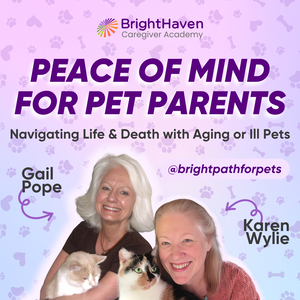 Peace of Mind for Pet Parents: Navigating Life & Death With Aging or Ill Pets