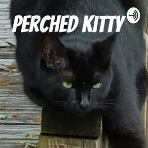 Perched Kitty 