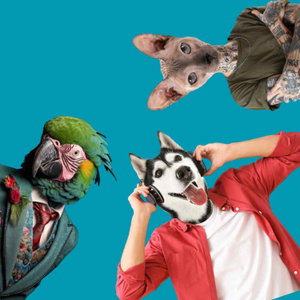 Petcast. Az állati podcast