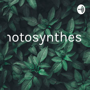 Photosynthesis 