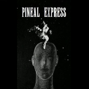 Pineal Express