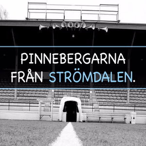 Pinnebergarna från Strömdalen