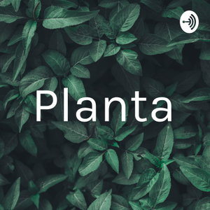Planta