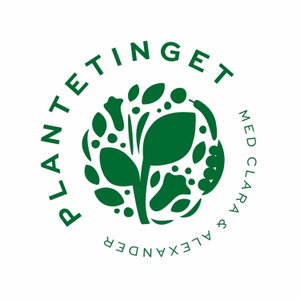 Plantetinget