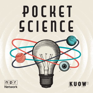 Pocket Science