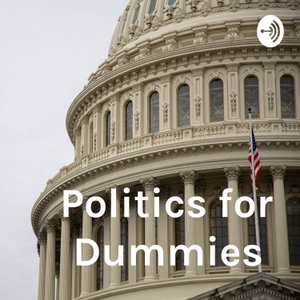 Politics for Dummies 