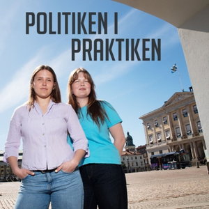 Politiken i praktiken