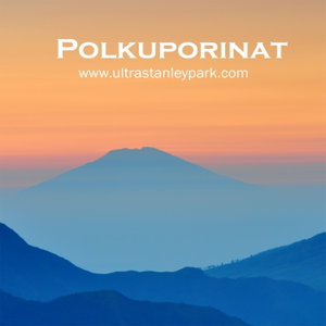 Polkuporinat