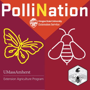 PolliNation Podcast