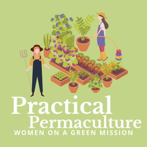 Practical Permaculture | Gardening and Intentional Living 
