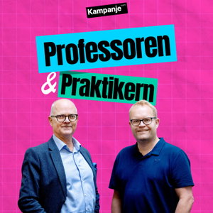 Professoren & praktikern