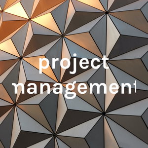 project management