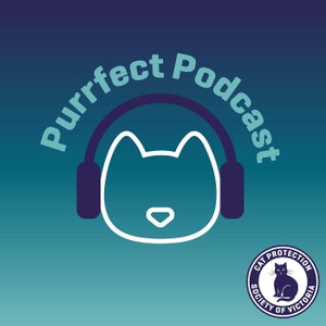 Purrfect Podcast