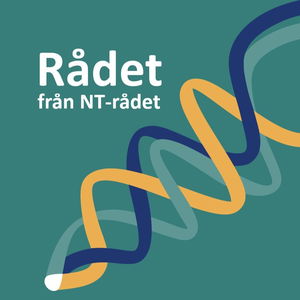 Rådet från NT-rådet