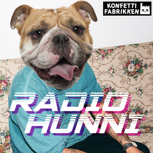 RADIO HUNNI