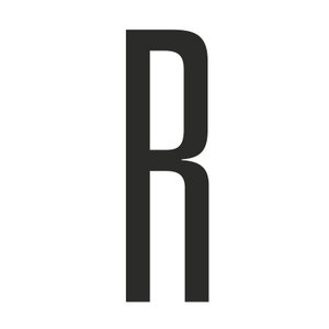 RÆSON - dansk og international politik