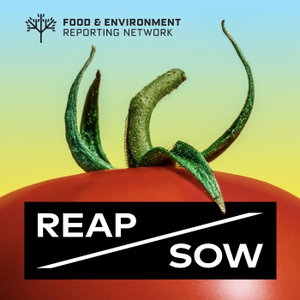 REAP/SOW