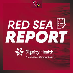 Red Sea Report
