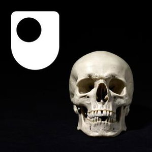 Repatriation and returning remains - for iPod/iPhone