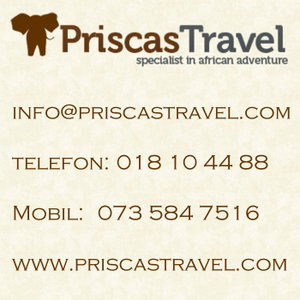 Res med Priscas Travel
