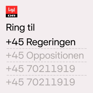 Ring til regeringen
