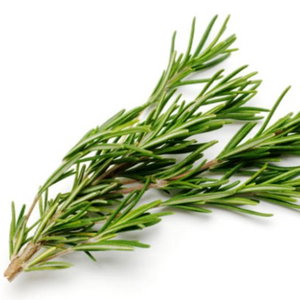 Rosmarino