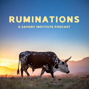 Ruminations