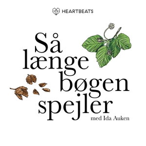 Så længe bøgen spejler