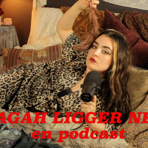 Sagah ligger ner