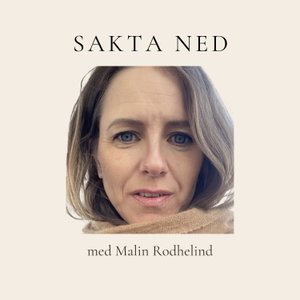 Sakta Ned