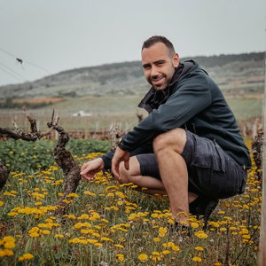 Sandro's WSET LEVEL 4 Diploma Learning Journey