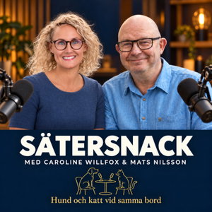 Sätersnack