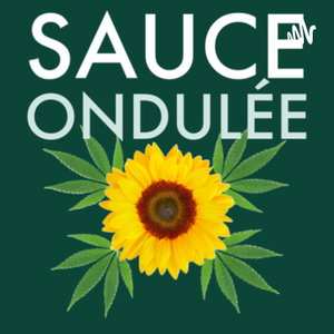 Sauce Ondulée 