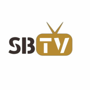 SBTV Silver Bullion