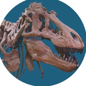 Science at AMNH