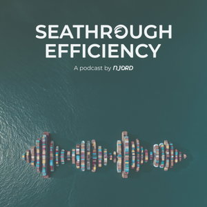 Seathrough Efficiency