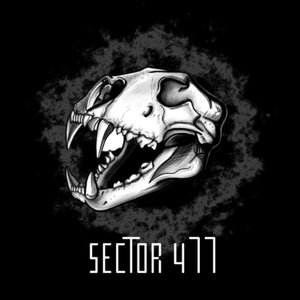 Sector 477